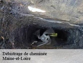 debistrage-de-cheminee-le-tiec-ramonage-2