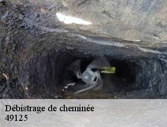 debistrage-de-cheminee-le-tiec-ramonage-2