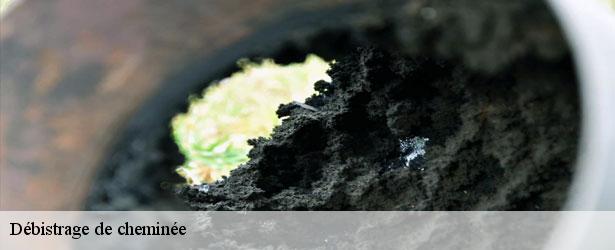 debistrage-de-cheminee-le-tiec-ramonage-3