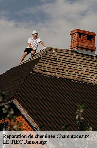 reparation-de-cheminee-le-tiec-ramonage-1