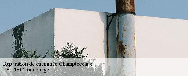 reparation-de-cheminee-le-tiec-ramonage-4