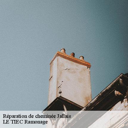 reparation-de-cheminee-le-tiec-ramonage-7