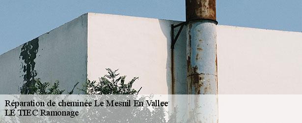 reparation-de-cheminee-le-tiec-ramonage-4