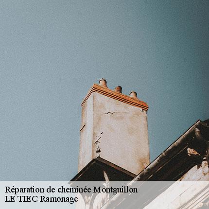 reparation-de-cheminee-le-tiec-ramonage-7
