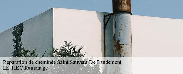 reparation-de-cheminee-le-tiec-ramonage-4