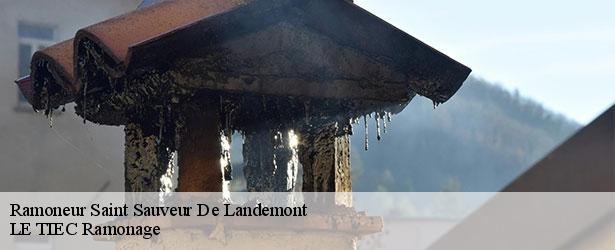 ramoneur-le-tiec-ramonage-4
