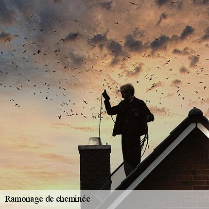 ramonage-de-cheminee-le-tiec-ramonage-6