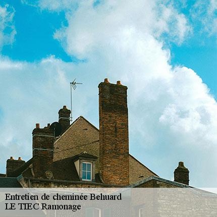 entretien-de-cheminee-le-tiec-ramonage-7