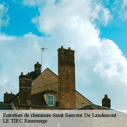 entretien-de-cheminee-le-tiec-ramonage-7