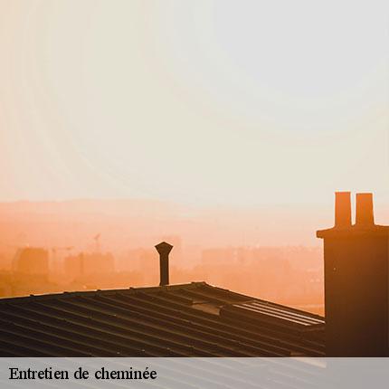 entretien-de-cheminee-le-tiec-ramonage-6