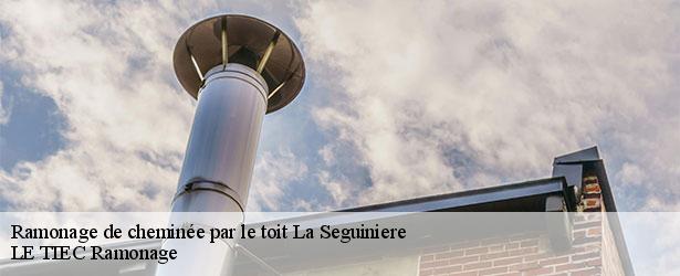 ramonage-de-cheminee-par-le-toit-le-tiec-ramonage-4