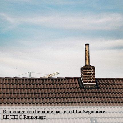 ramonage-de-cheminee-par-le-toit-le-tiec-ramonage-7
