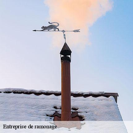 entreprise-de-ramonage-le-tiec-ramonage-6